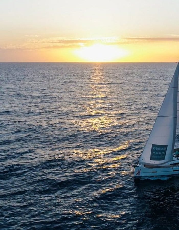 Mizendoha Tenerife whales yacht boat sunset tour